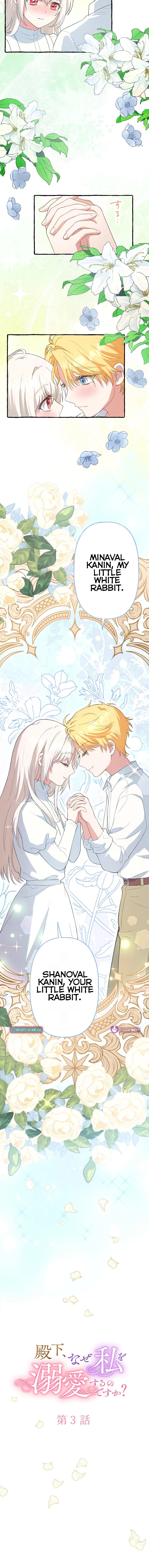 Your Highness, Why Do You Dote on Me So? Chapter 3 page 2 - 