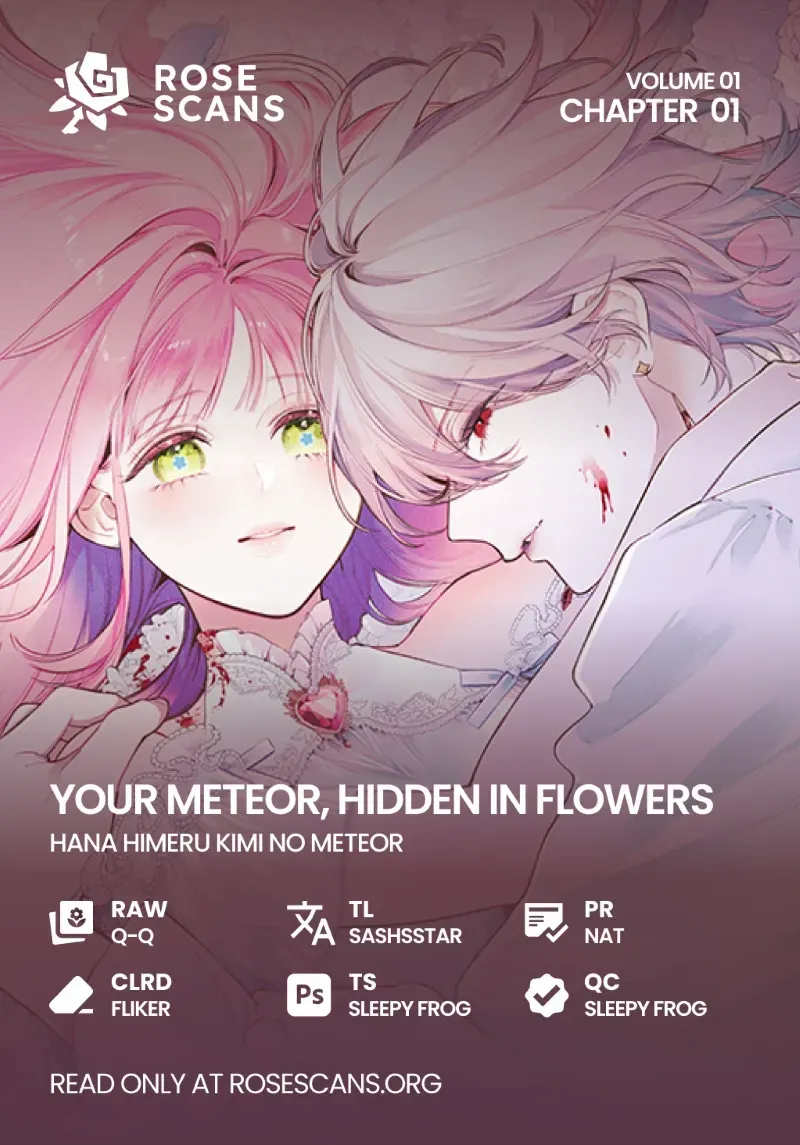 Your Meteor, Hidden in Flowers Chapter 1 page 1 - 