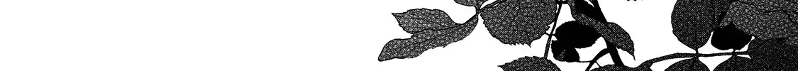 Your Meteor, Hidden in Flowers Chapter 15 page 55 - 