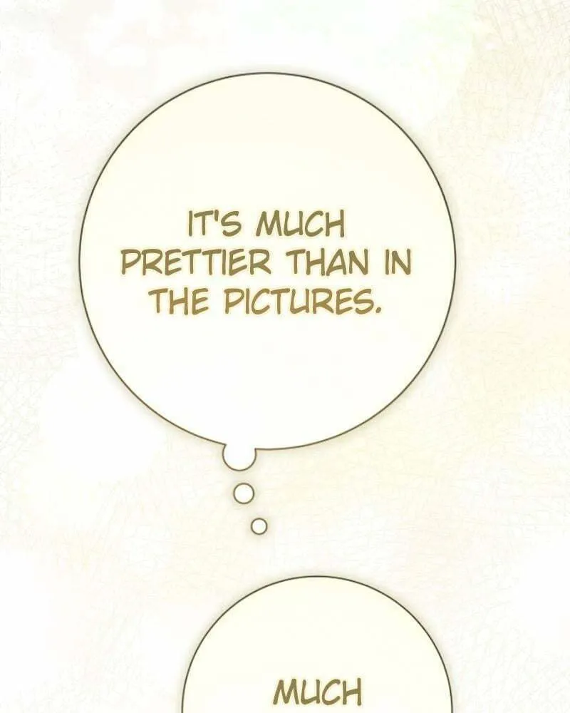 Your Throne Chapter 205 page 217 - 