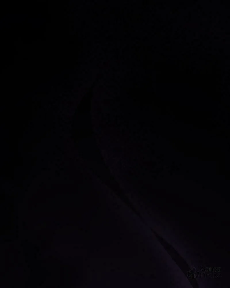 Your Throne Chapter 226 page 24 - 