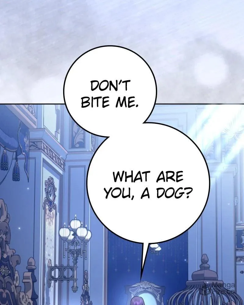 Your Throne Chapter 228 page 42 - 