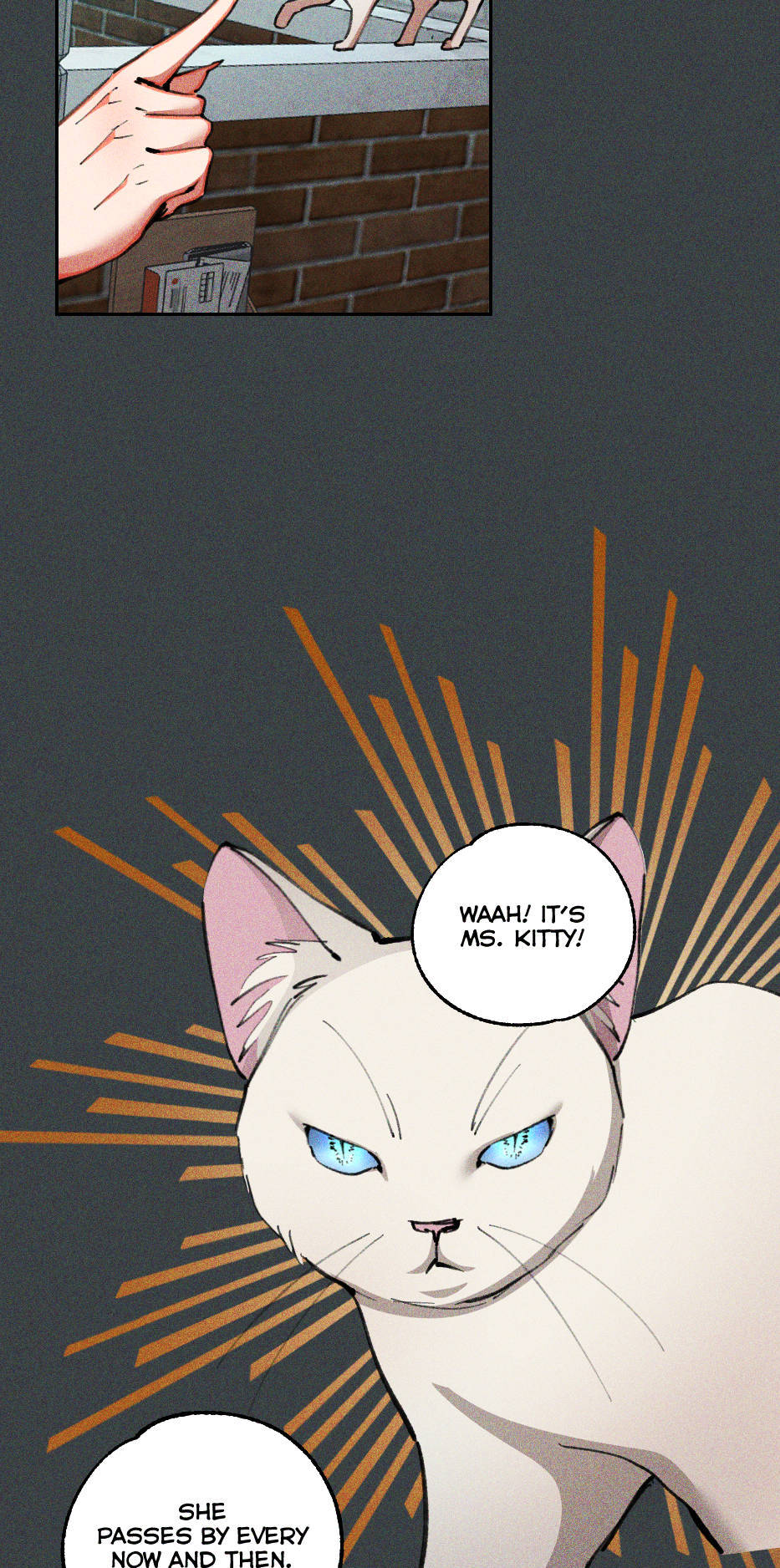 Your Wish Chapter 80 page 18 - 