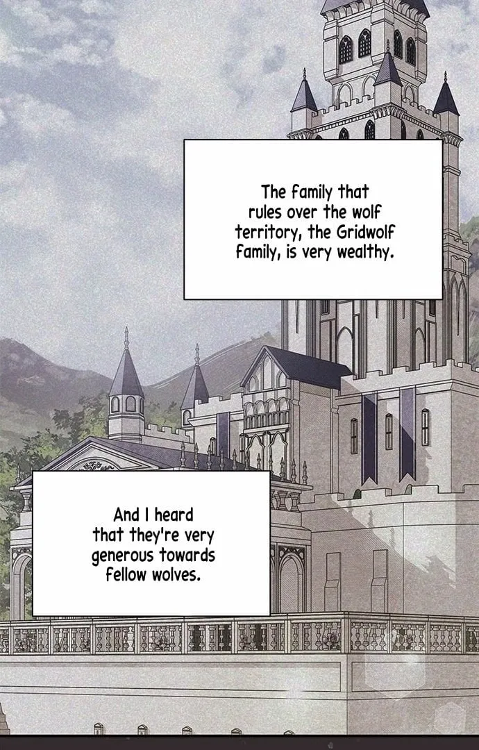 You’re a Cat, But You’ve Been Adopted by a Wolf Family? Chapter 1 page 62 - 