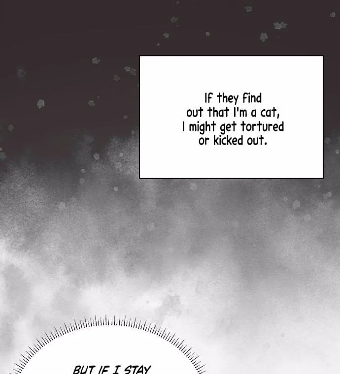 You’re a Cat, But You’ve Been Adopted by a Wolf Family? Chapter 1 page 63 - 