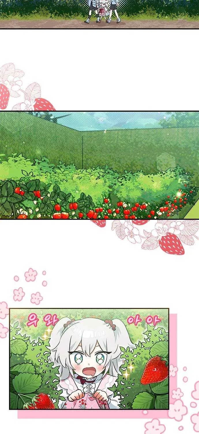 You’re a Cat, But You’ve Been Adopted by a Wolf Family? Chapter 11 page 16 - 