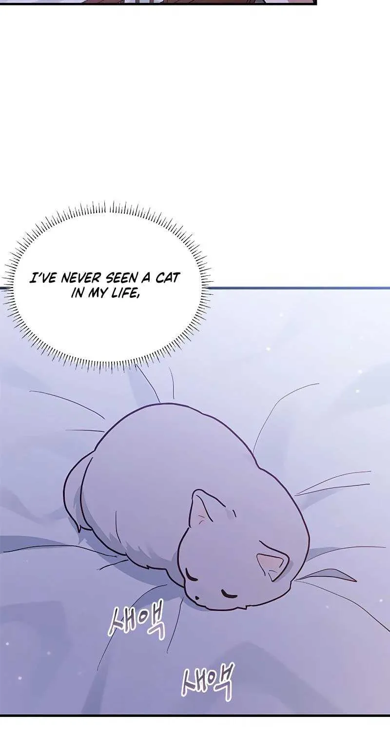 You’re a Cat, But You’ve Been Adopted by a Wolf Family? Chapter 14 page 63 - 