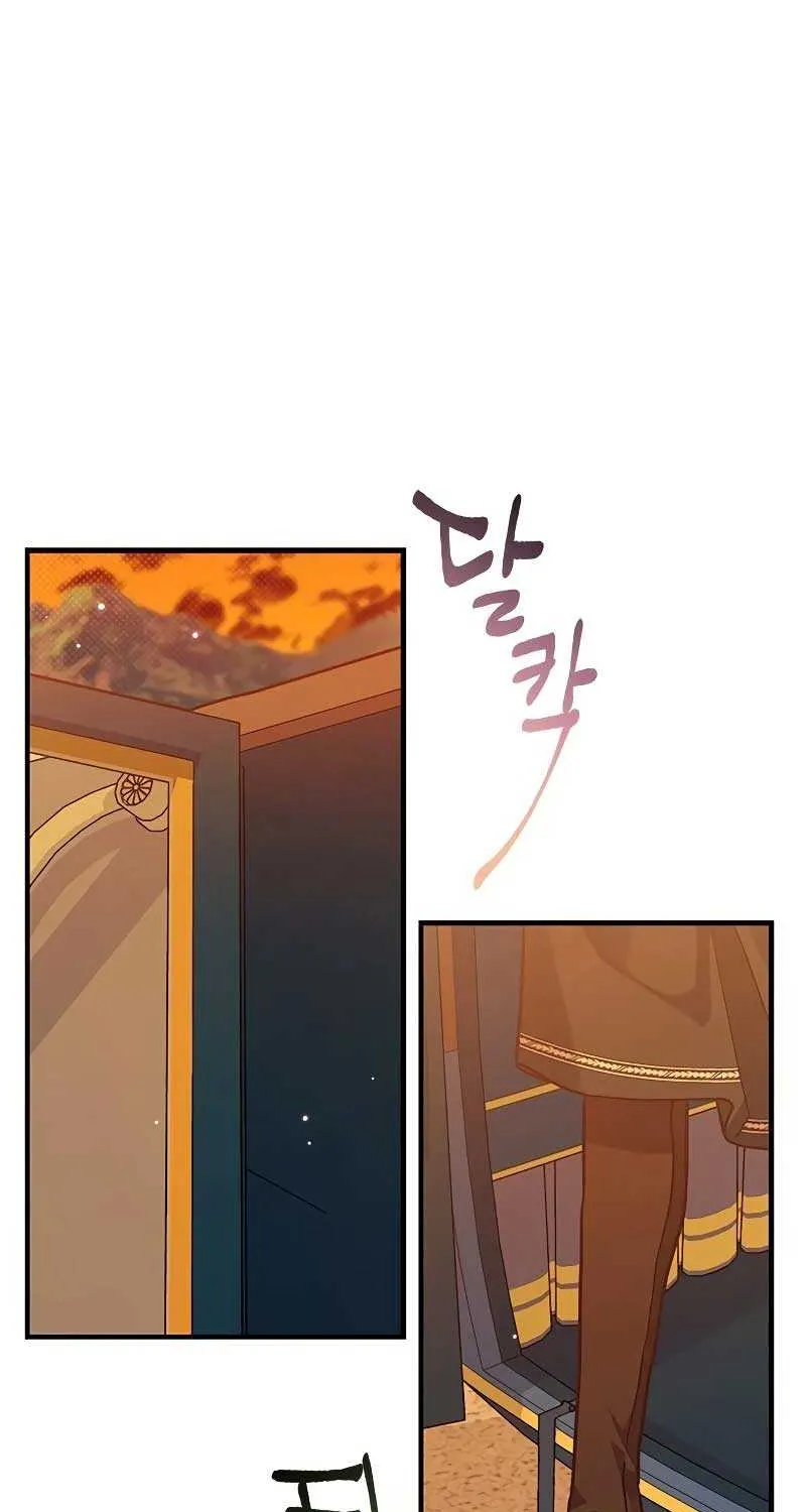 You’re a Cat, But You’ve Been Adopted by a Wolf Family? Chapter 16 page 19 - 