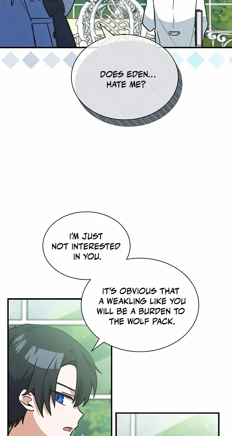 You’re a Cat, But You’ve Been Adopted by a Wolf Family? Chapter 17 page 62 - 