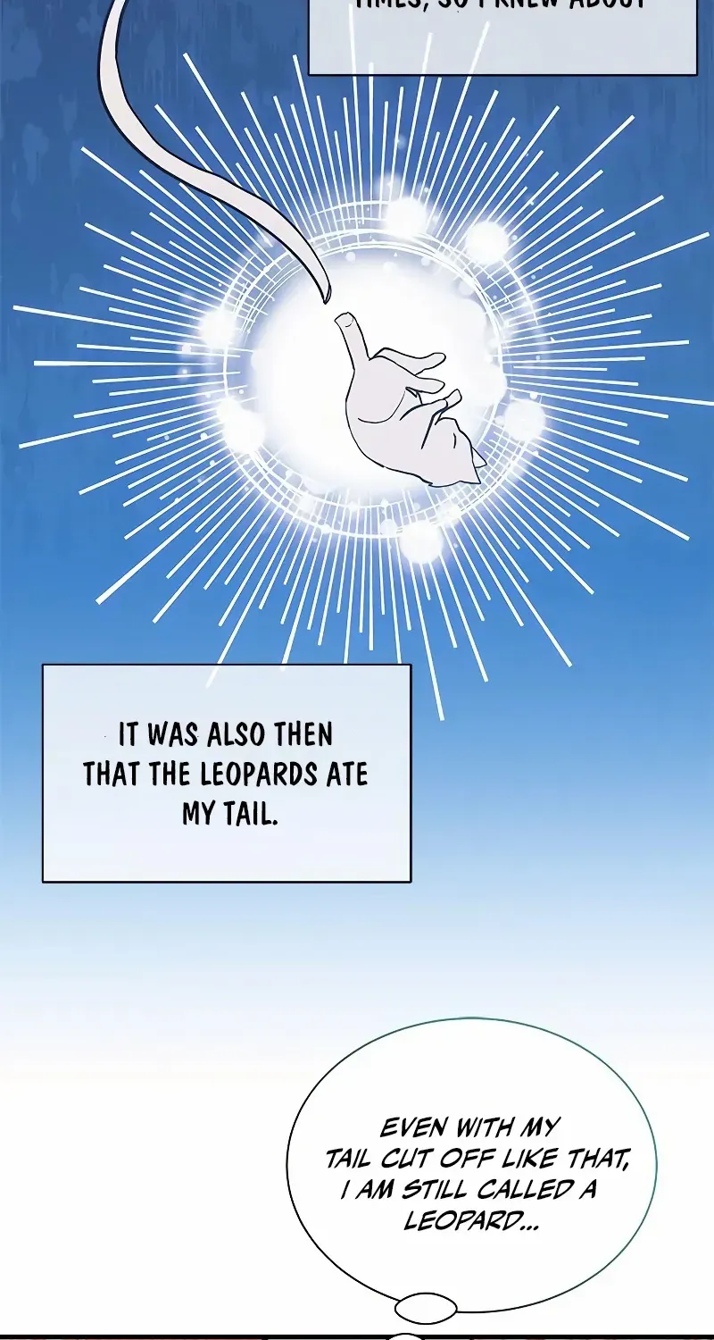 You’re a Cat, But You’ve Been Adopted by a Wolf Family? Chapter 17 page 8 - 