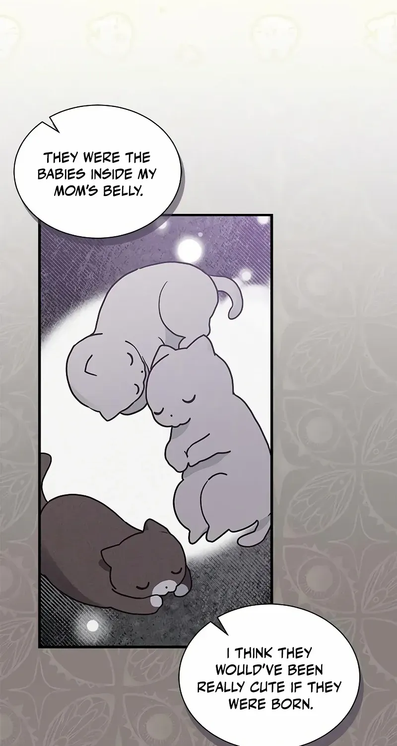 You’re a Cat, But You’ve Been Adopted by a Wolf Family? Chapter 18 page 11 - 