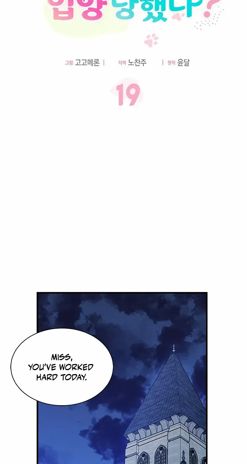 You’re a Cat, But You’ve Been Adopted by a Wolf Family? Chapter 19 page 37 - 