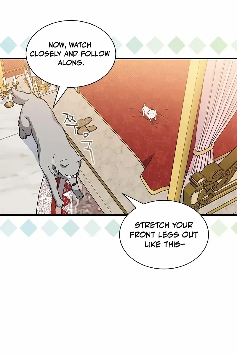 You’re a Cat, But You’ve Been Adopted by a Wolf Family? Chapter 19 page 53 - 