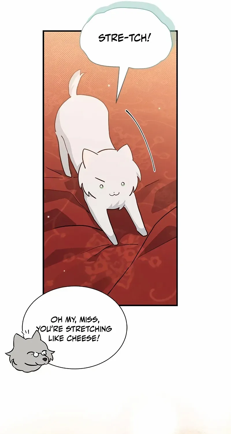 You’re a Cat, But You’ve Been Adopted by a Wolf Family? Chapter 19 page 54 - 