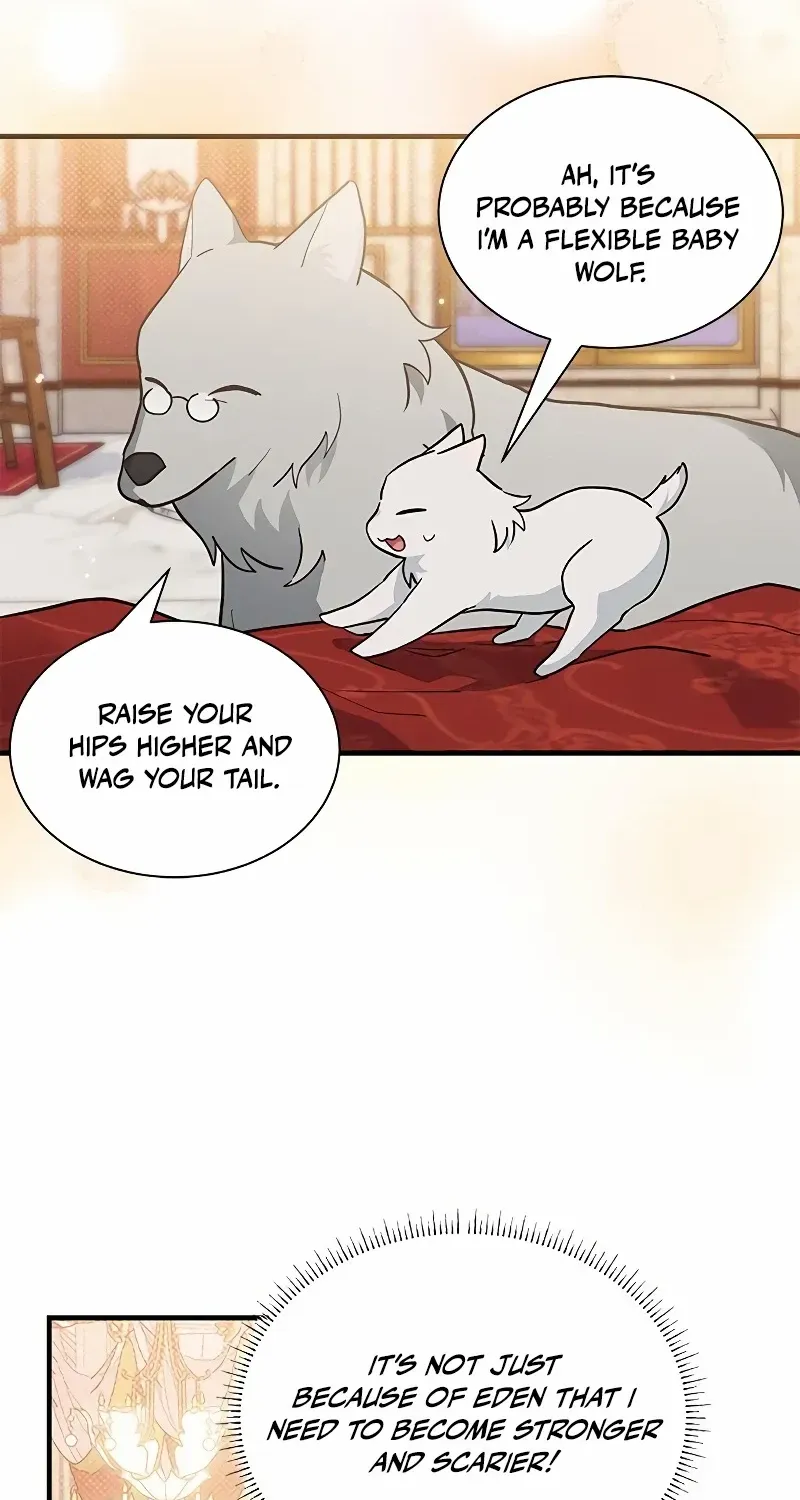 You’re a Cat, But You’ve Been Adopted by a Wolf Family? Chapter 19 page 55 - 