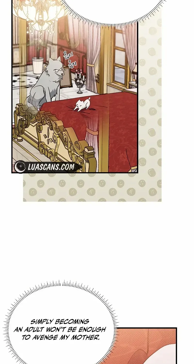 You’re a Cat, But You’ve Been Adopted by a Wolf Family? Chapter 19 page 56 - 