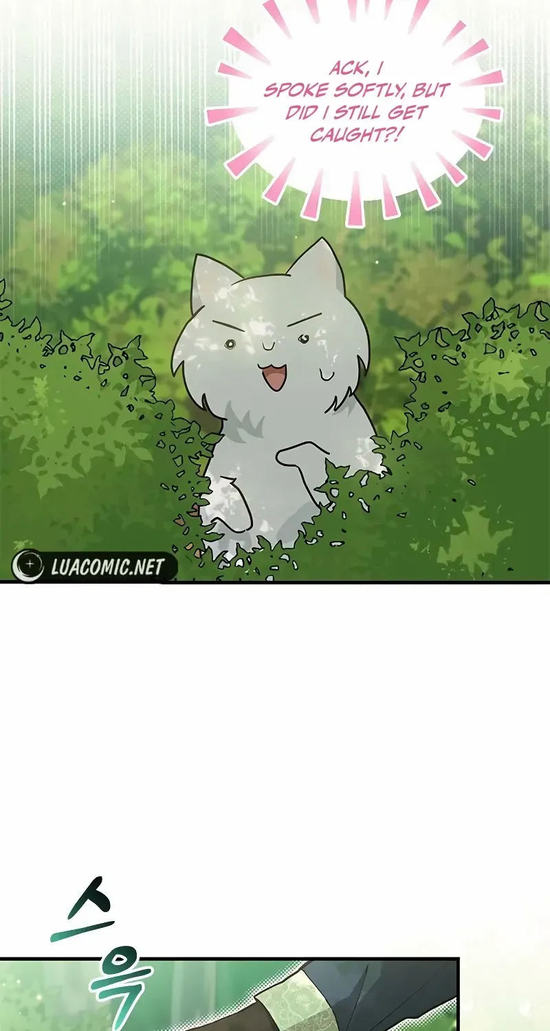 You’re a Cat, But You’ve Been Adopted by a Wolf Family? Chapter 20 page 2 - 