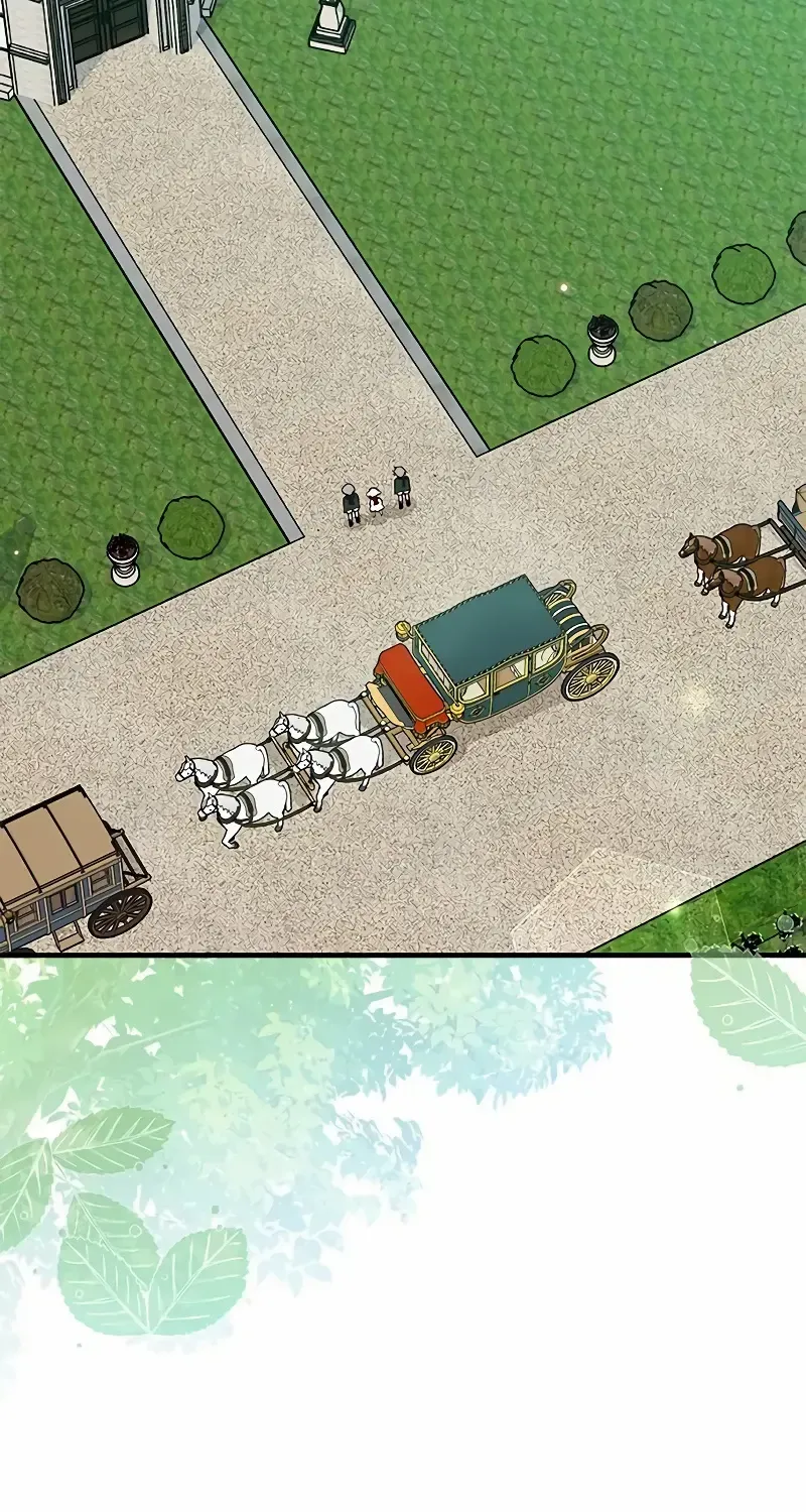 You’re a Cat, But You’ve Been Adopted by a Wolf Family? Chapter 22 page 27 - 