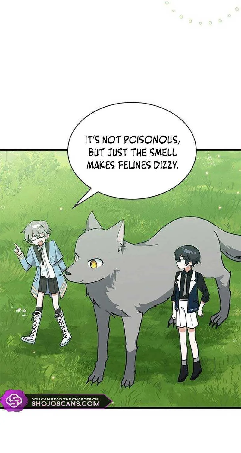 You’re a Cat, But You’ve Been Adopted by a Wolf Family? Chapter 24 page 36 - 