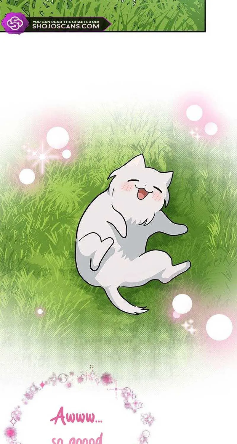 You’re a Cat, But You’ve Been Adopted by a Wolf Family? Chapter 24 page 44 - 
