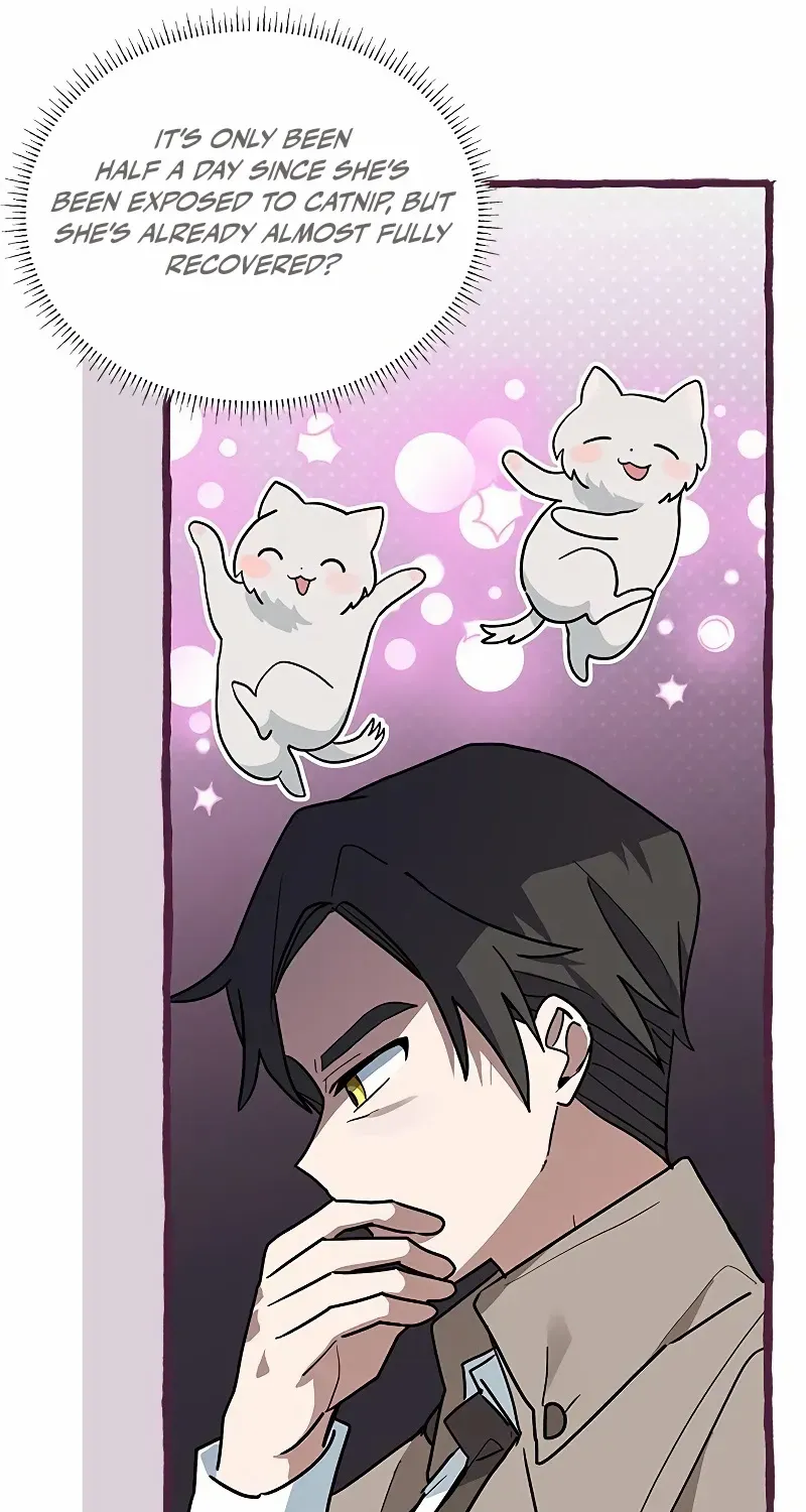 You’re a Cat, But You’ve Been Adopted by a Wolf Family? Chapter 25 page 13 - 