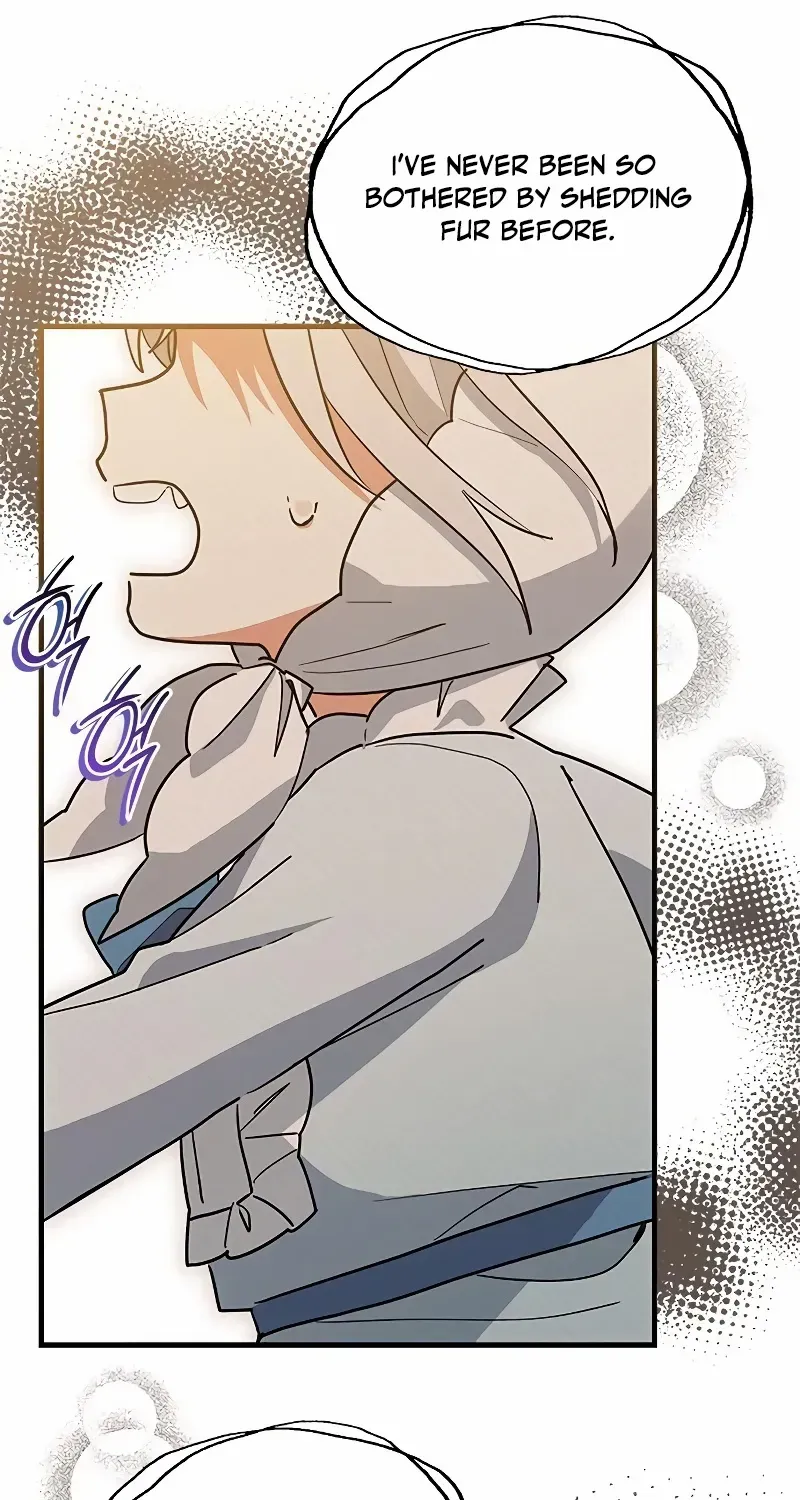 You’re a Cat, But You’ve Been Adopted by a Wolf Family? Chapter 27 page 26 - 