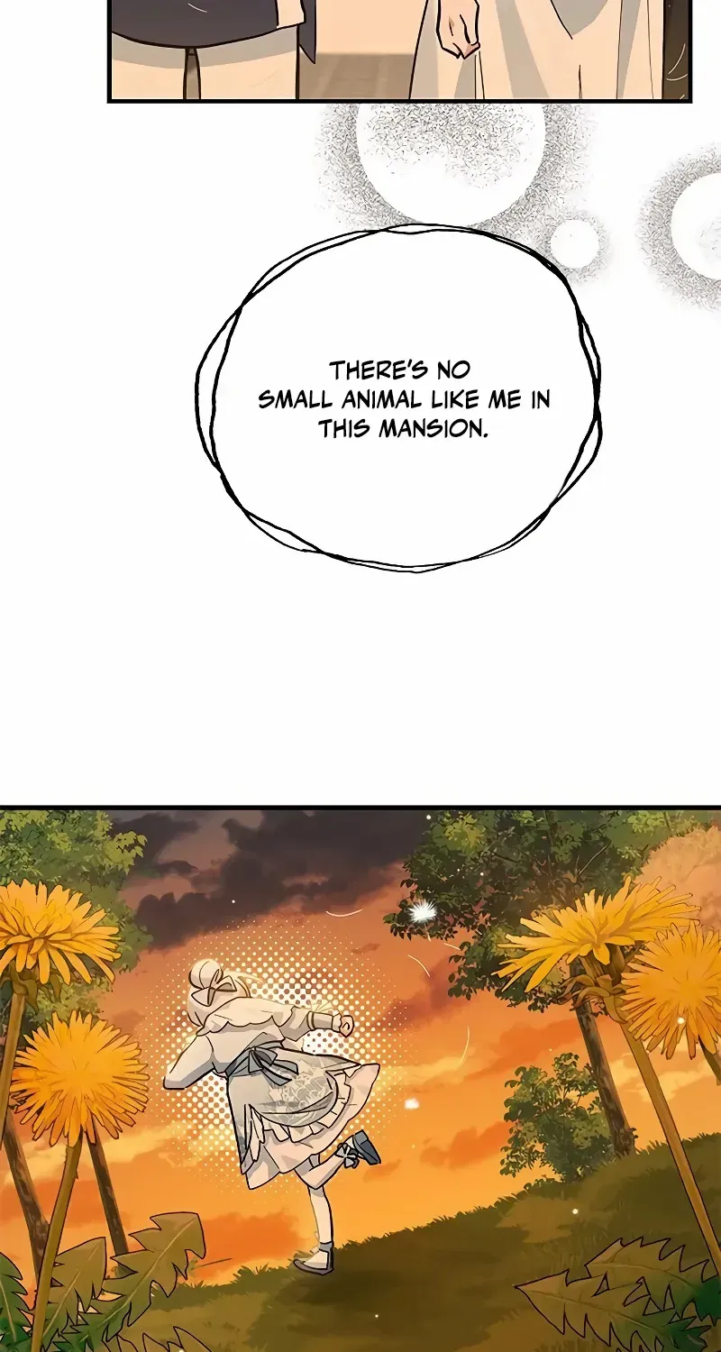 You’re a Cat, But You’ve Been Adopted by a Wolf Family? Chapter 27 page 28 - 