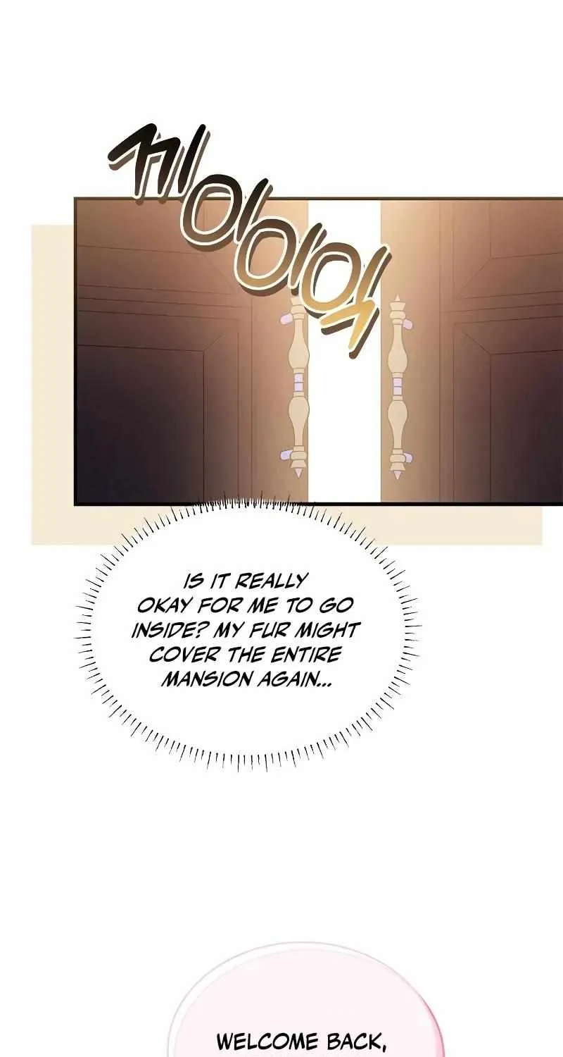 You’re a Cat, But You’ve Been Adopted by a Wolf Family? Chapter 28 page 26 - 