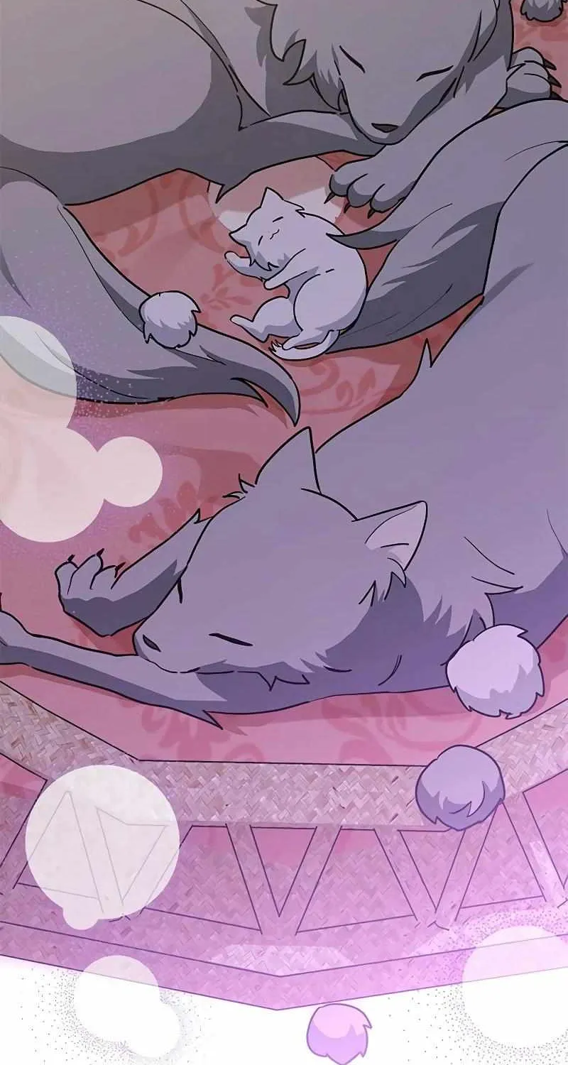 You’re a Cat, But You’ve Been Adopted by a Wolf Family? Chapter 28 page 43 - 