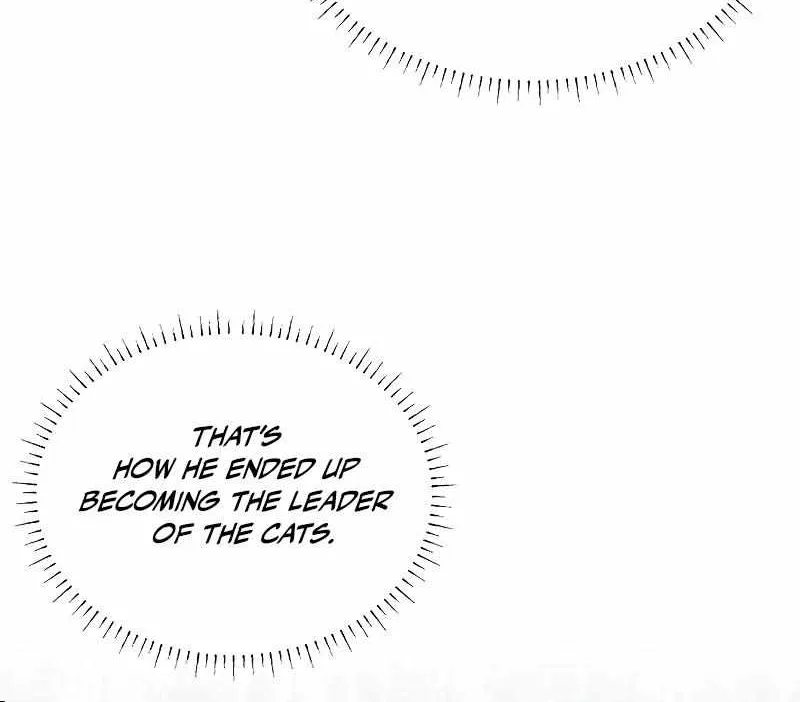 You’re a Cat, But You’ve Been Adopted by a Wolf Family? Chapter 28 page 61 - 