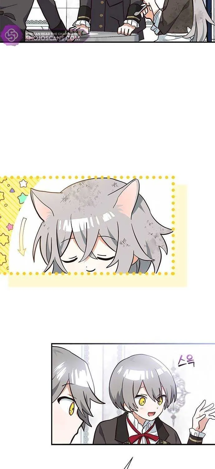 You’re a Cat, But You’ve Been Adopted by a Wolf Family? Chapter 3 page 18 - 