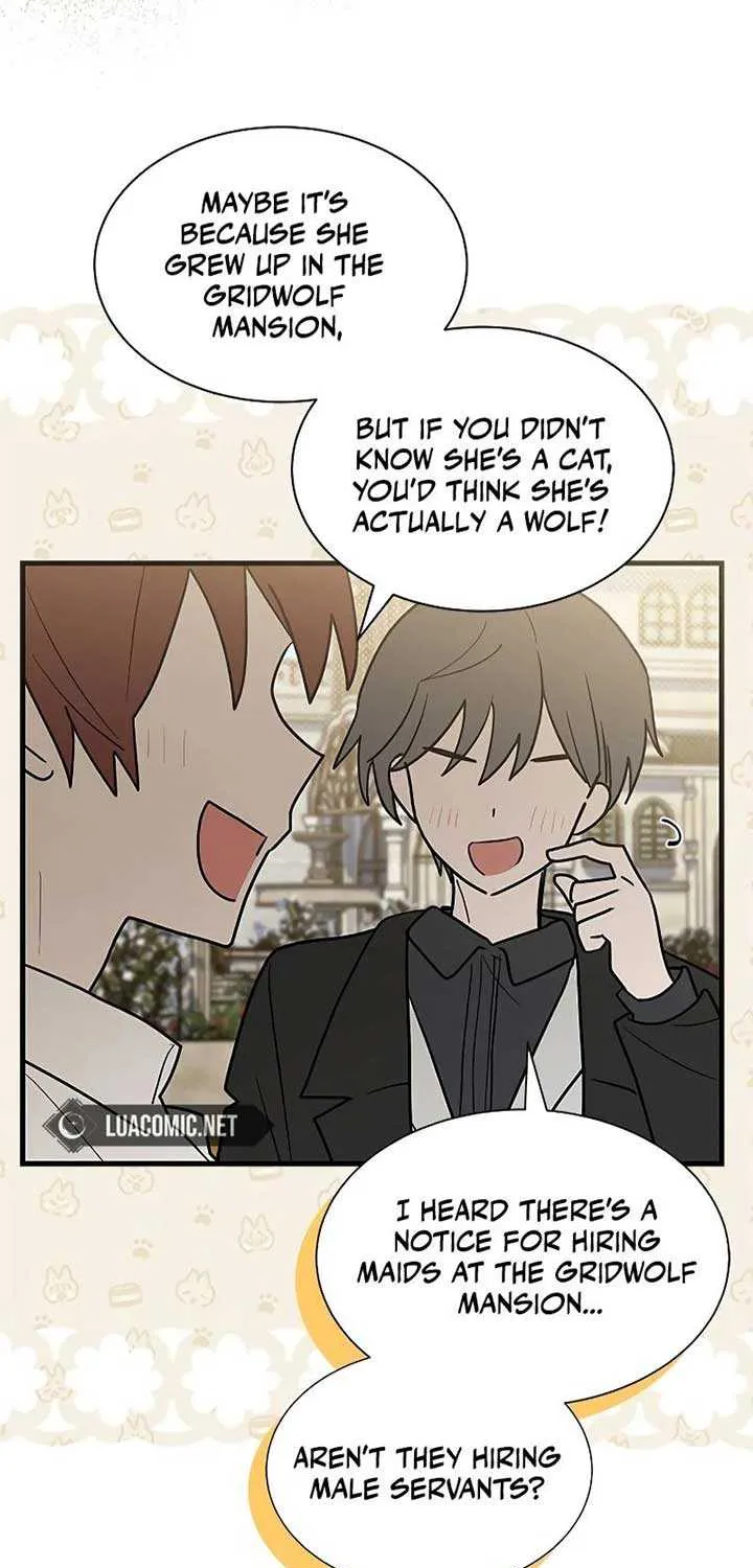You’re a Cat, But You’ve Been Adopted by a Wolf Family? Chapter 37 page 35 - 