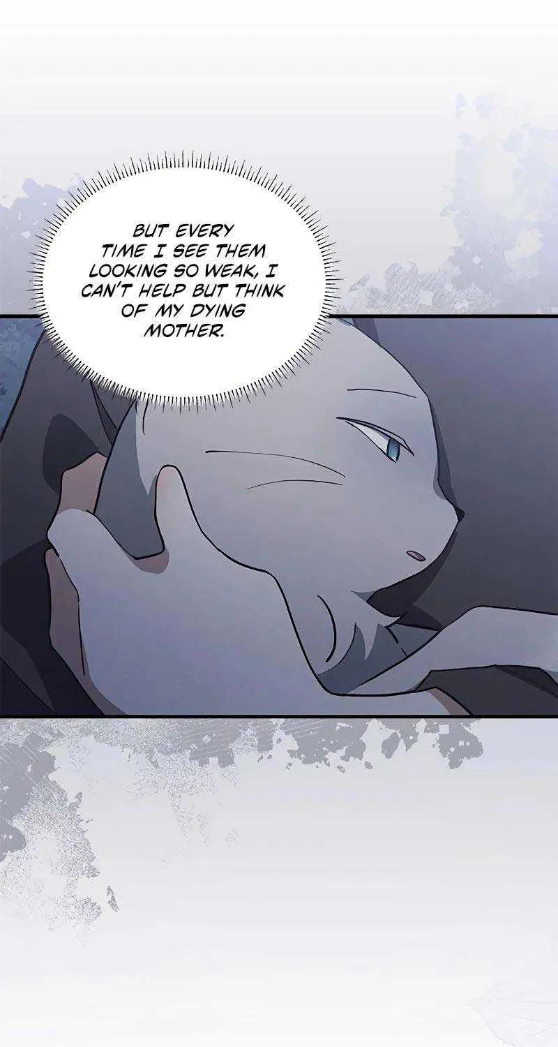 You’re a Cat, But You’ve Been Adopted by a Wolf Family? Chapter 38 page 12 - 