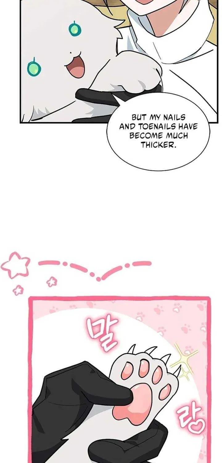 You’re a Cat, But You’ve Been Adopted by a Wolf Family? Chapter 39 page 32 - 