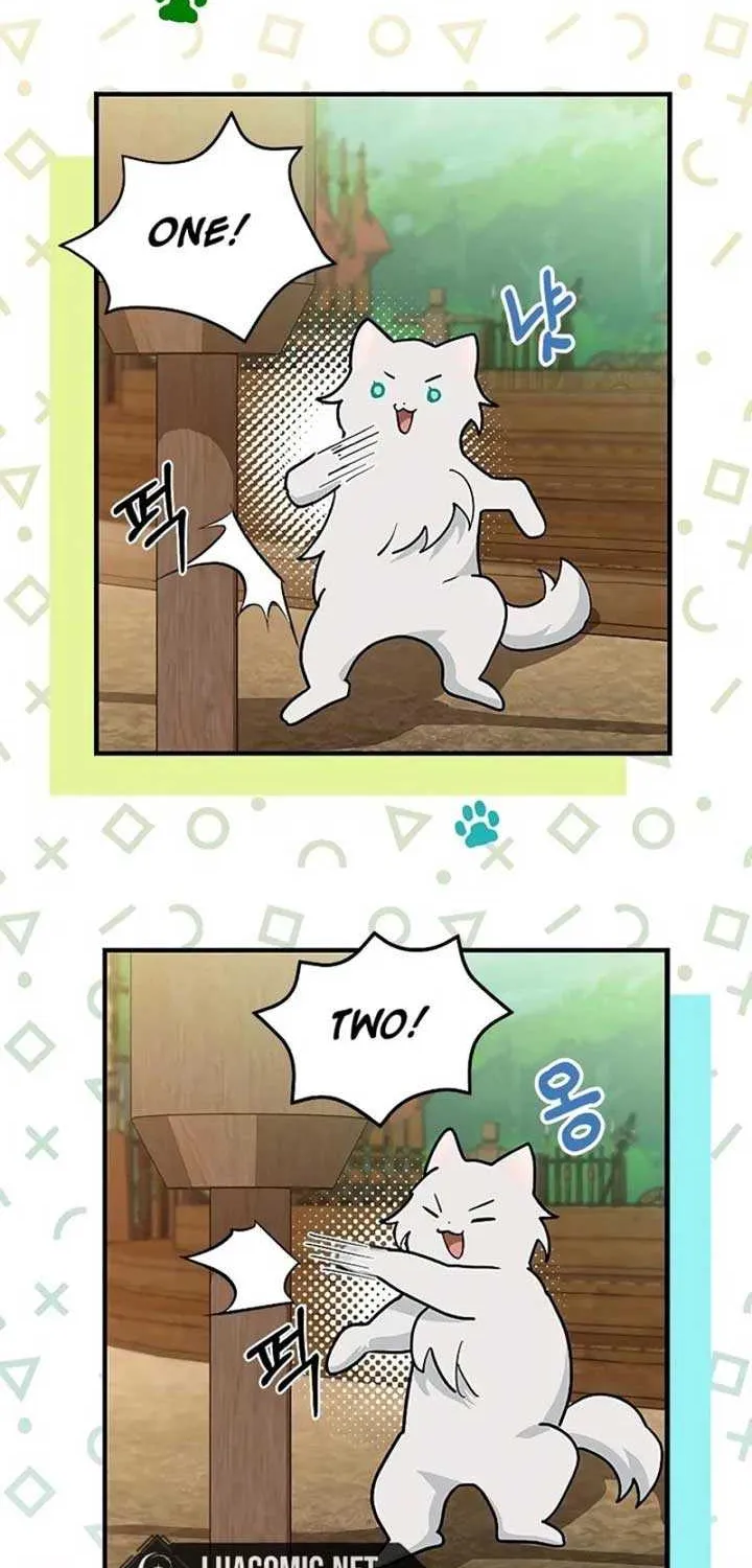 You’re a Cat, But You’ve Been Adopted by a Wolf Family? Chapter 39 page 35 - 