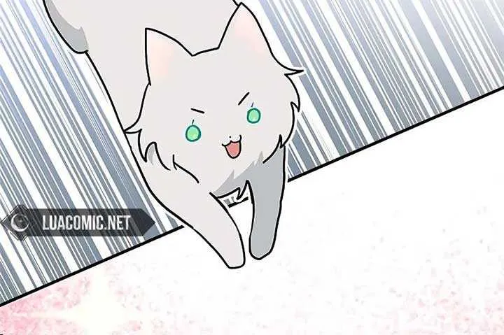 You’re a Cat, But You’ve Been Adopted by a Wolf Family? Chapter 40 page 35 - 