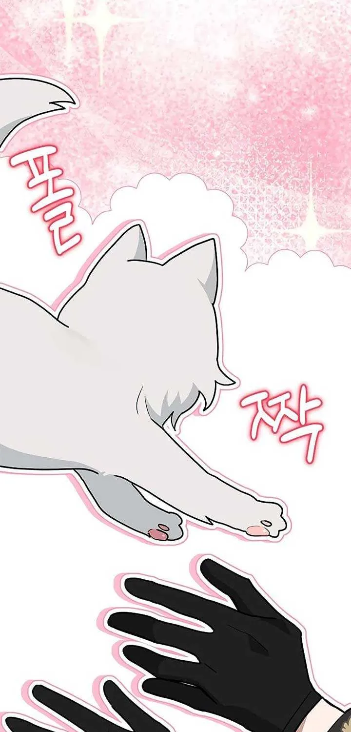You’re a Cat, But You’ve Been Adopted by a Wolf Family? Chapter 40 page 36 - 