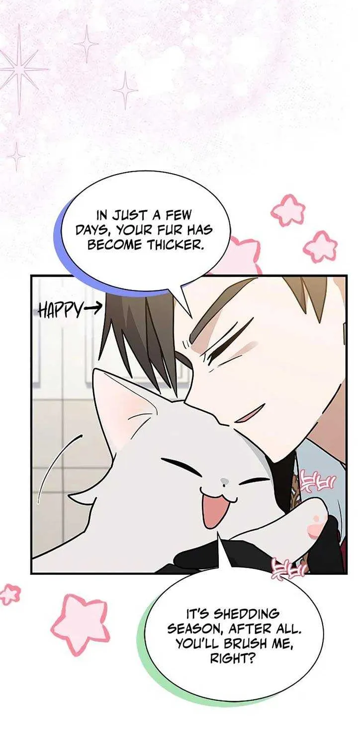 You’re a Cat, But You’ve Been Adopted by a Wolf Family? Chapter 40 page 41 - 