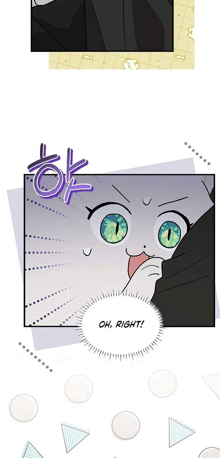 You’re a Cat, But You’ve Been Adopted by a Wolf Family? Chapter 40 page 47 - 