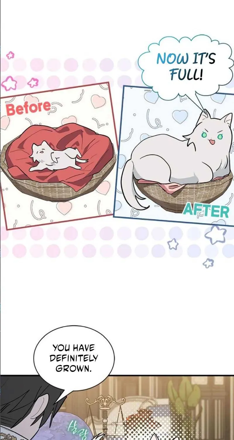 You’re a Cat, But You’ve Been Adopted by a Wolf Family? Chapter 41 page 11 - 