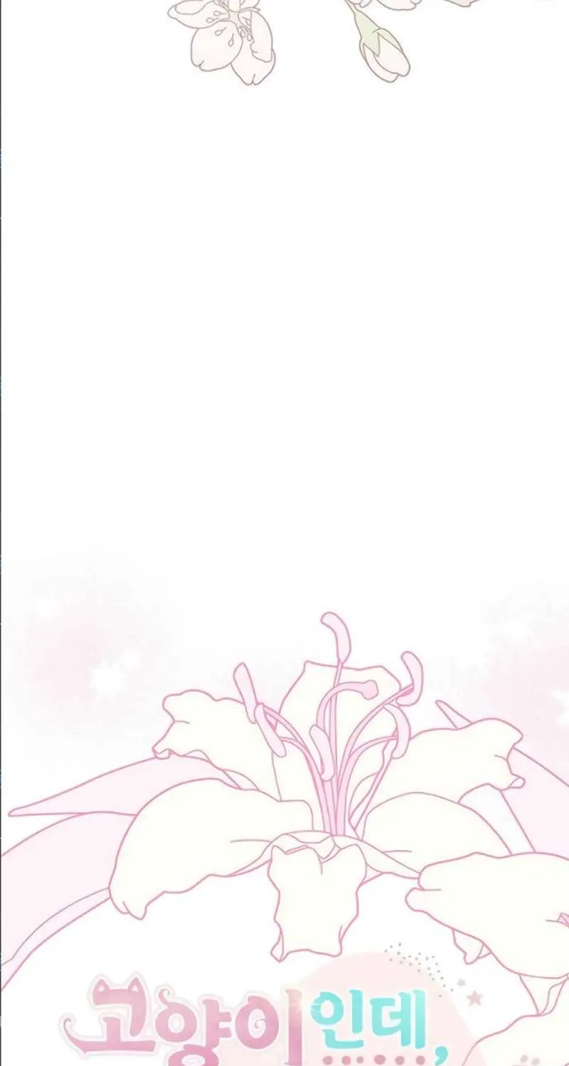 You’re a Cat, But You’ve Been Adopted by a Wolf Family? Chapter 41 page 20 - 