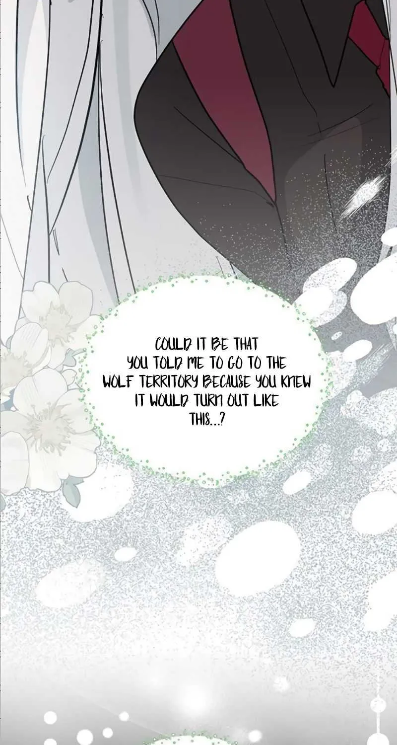 You’re a Cat, But You’ve Been Adopted by a Wolf Family? Chapter 41 page 61 - 