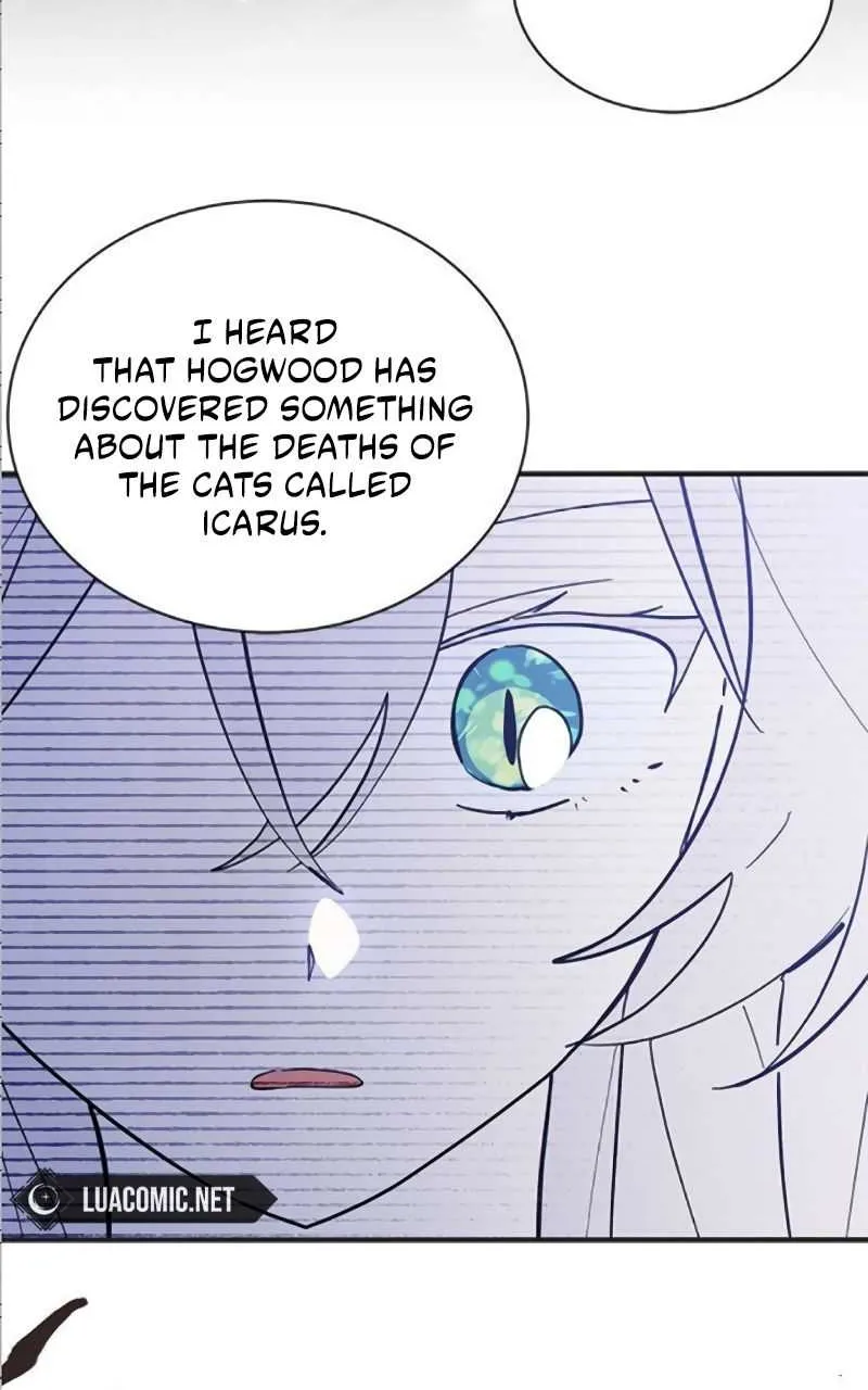 You’re a Cat, But You’ve Been Adopted by a Wolf Family? Chapter 41 page 63 - 