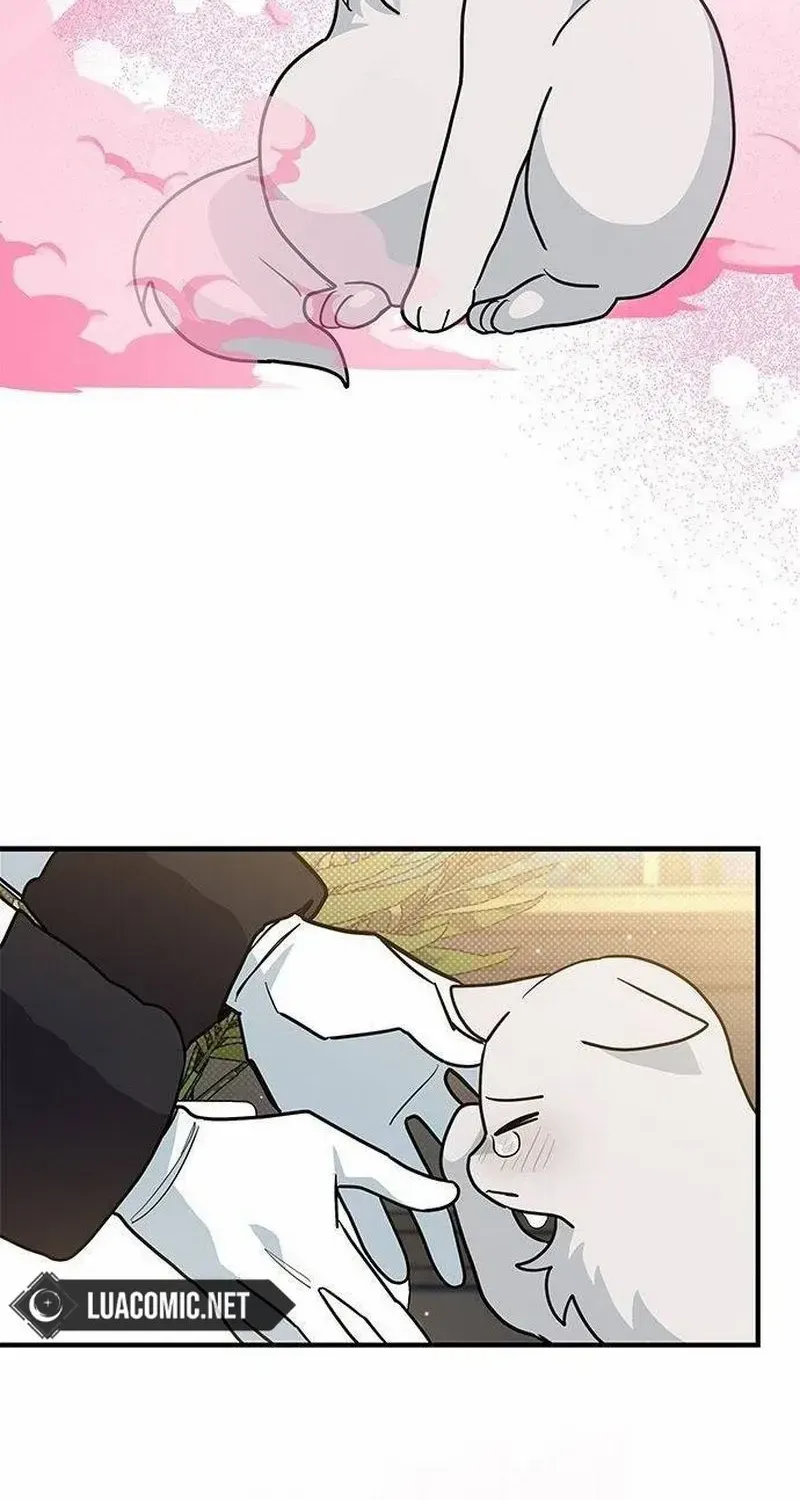 You’re a Cat, But You’ve Been Adopted by a Wolf Family? Chapter 42 page 21 - 