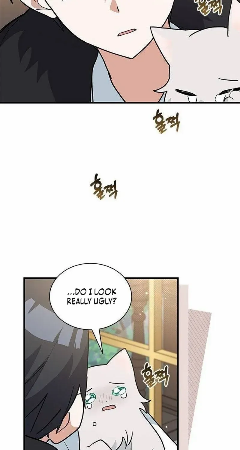 You’re a Cat, But You’ve Been Adopted by a Wolf Family? Chapter 42 page 24 - 