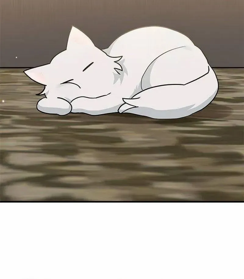 You’re a Cat, But You’ve Been Adopted by a Wolf Family? Chapter 42 page 36 - 