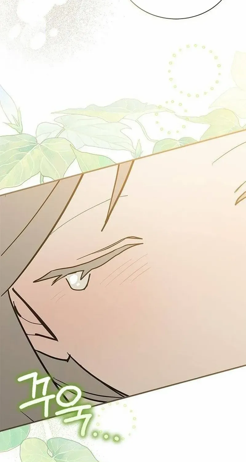 You’re a Cat, But You’ve Been Adopted by a Wolf Family? Chapter 47 page 71 - 