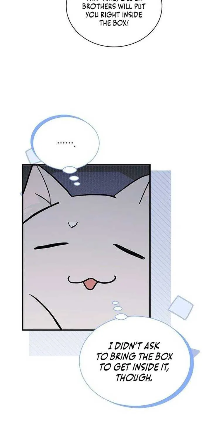 You’re a Cat, But You’ve Been Adopted by a Wolf Family? Chapter 49 page 6 - 