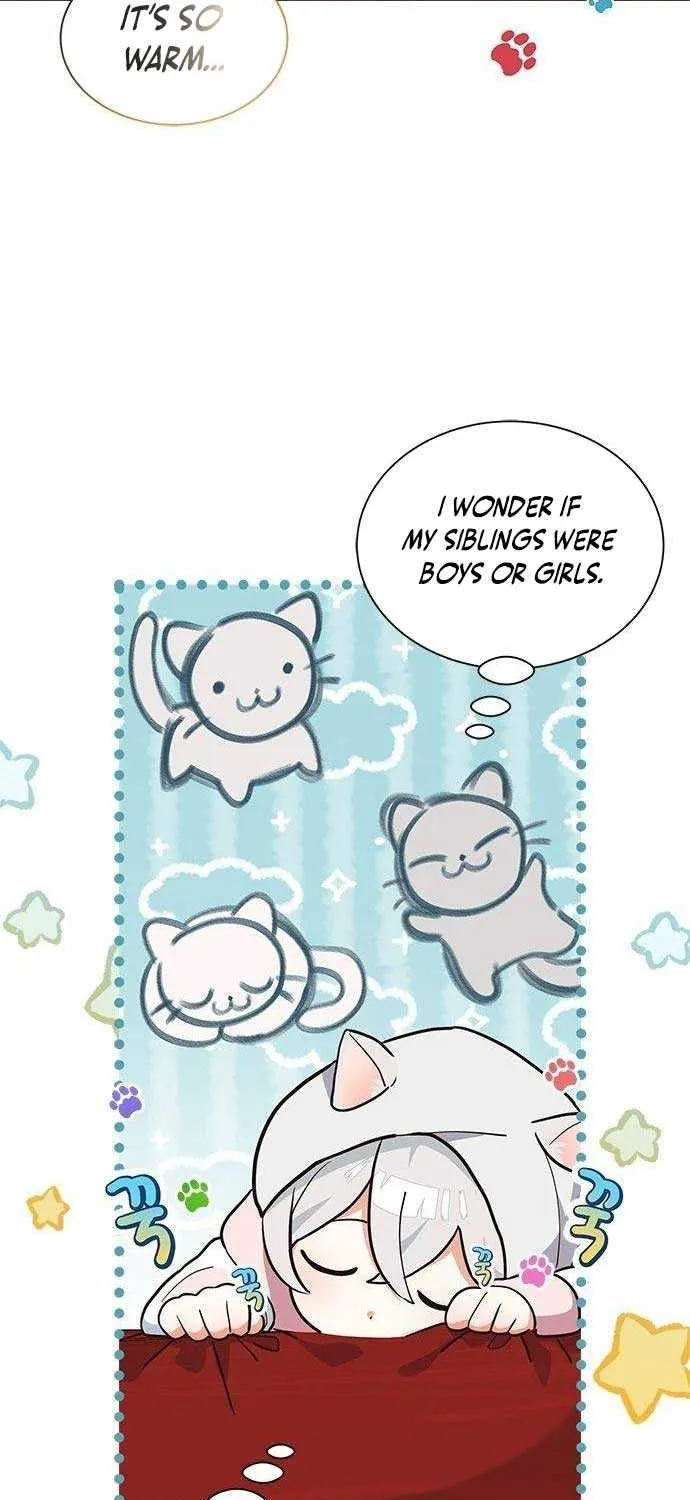 You’re a Cat, But You’ve Been Adopted by a Wolf Family? Chapter 5 page 12 - 