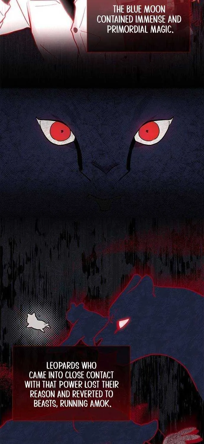 You’re a Cat, But You’ve Been Adopted by a Wolf Family? Chapter 5 page 25 - 